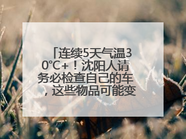 连续5天气温30℃+！沈阳人请务必检查自己的车，这些物品可能变“炸弹”！