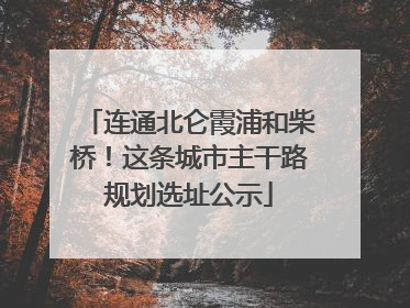 连通北仑霞浦和柴桥！这条城市主干路规划选址公示