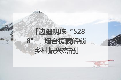 边疆明珠“5288”，烟台援藏解锁乡村振兴密码