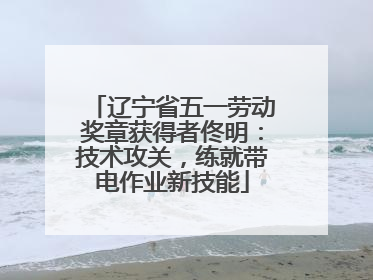 辽宁省五一劳动奖章获得者佟明：技术攻关，练就带电作业新技能