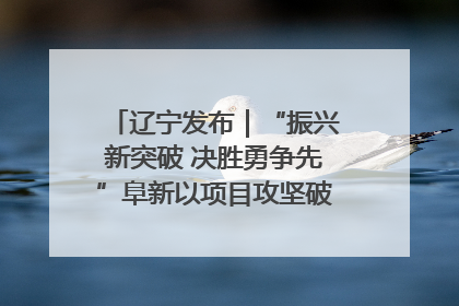 辽宁发布｜“振兴新突破 决胜勇争先”阜新以项目攻坚破解发展瓶颈 经济发展实现良好开局