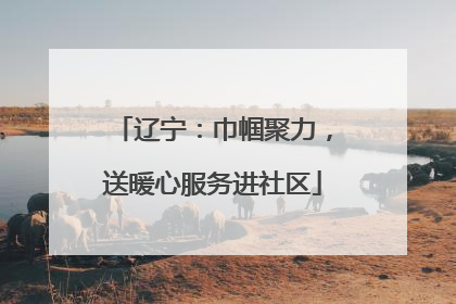 辽宁：巾帼聚力，送暖心服务进社区