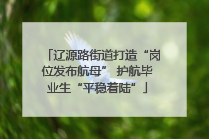 辽源路街道打造“岗位发布航母” 护航毕业生“平稳着陆”