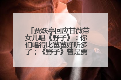 贾跃亭回应甘薇带女儿唱《野子》：你们唱得比爸爸好听多了；《野子》曾是贾跃亭“代表作”