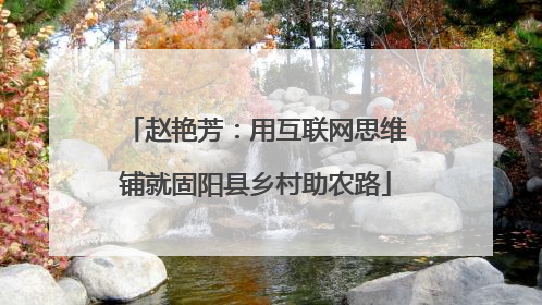 赵艳芳：用互联网思维铺就固阳县乡村助农路