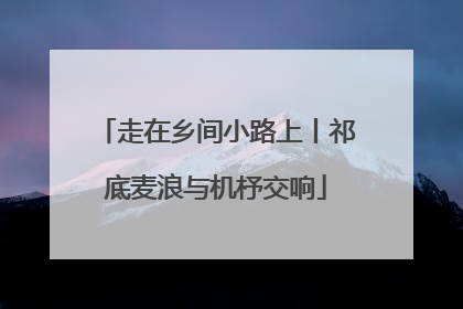 走在乡间小路上丨祁底麦浪与机杼交响