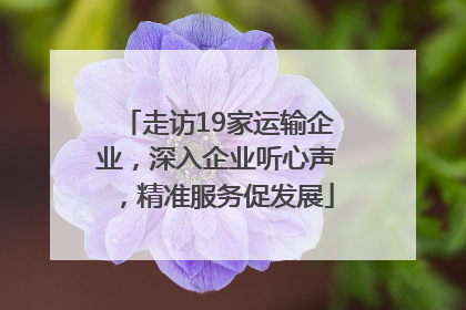 走访19家运输企业，深入企业听心声，精准服务促发展