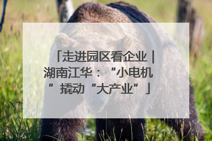走进园区看企业｜湖南江华：“小电机”撬动“大产业”