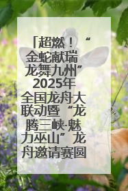 超燃！“金蛇献瑞 龙舞九州”2025年全国龙舟大联动暨“龙腾三峡·魅力巫山”龙舟邀请赛圆满落幕！