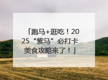 跑马+逛吃！2025“紫马”必打卡美食攻略来了！
