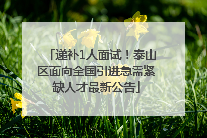 递补1人面试！泰山区面向全国引进急需紧缺人才最新公告