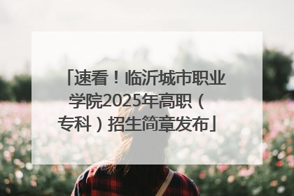 速看！临沂城市职业学院2025年高职（专科）招生简章发布