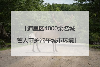 道里区4000余名城管人守护端午城市环境