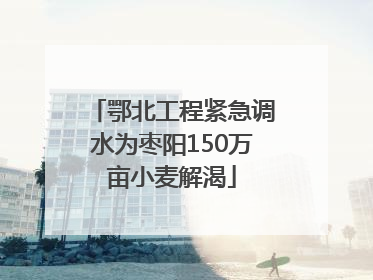 鄂北工程紧急调水为枣阳150万亩小麦解渴