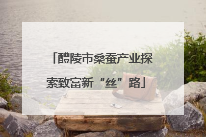 醴陵市桑蚕产业探索致富新“丝”路