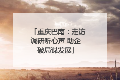重庆巴南：走访调研听心声 助企破局谋发展