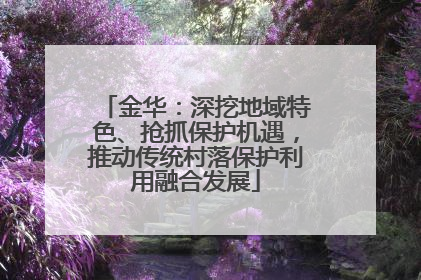 金华：深挖地域特色、抢抓保护机遇，推动传统村落保护利用融合发展