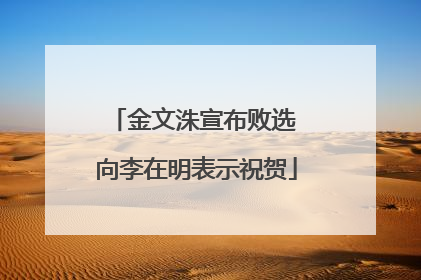 金文洙宣布败选 向李在明表示祝贺