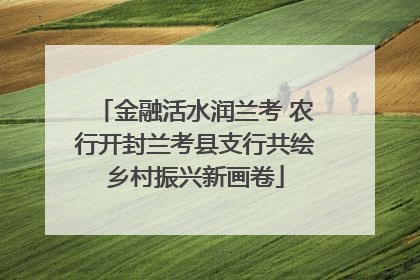 金融活水润兰考 农行开封兰考县支行共绘乡村振兴新画卷