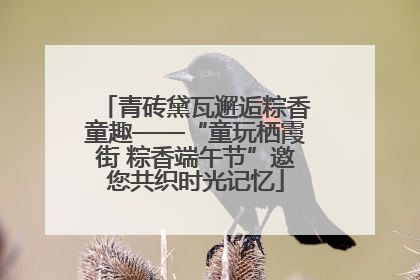 青砖黛瓦邂逅粽香童趣——“童玩栖霞街 粽香端午节”邀您共织时光记忆