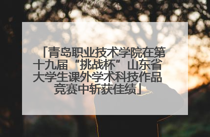 青岛职业技术学院在第十九届“挑战杯”山东省大学生课外学术科技作品竞赛中斩获佳绩