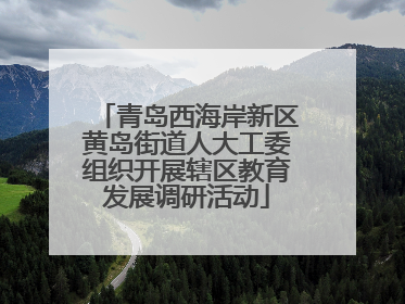 青岛西海岸新区黄岛街道人大工委组织开展辖区教育发展调研活动