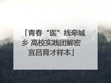青春“医”线牵城乡 高校实践团解密宜昌育才样本