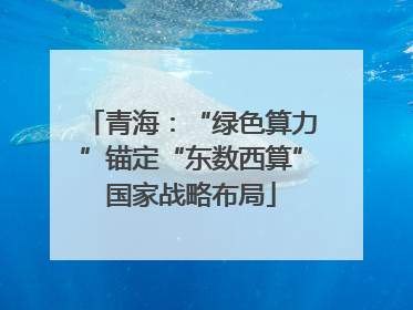 青海：“绿色算力”锚定“东数西算”国家战略布局