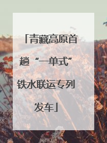 青藏高原首趟“一单式”铁水联运专列发车