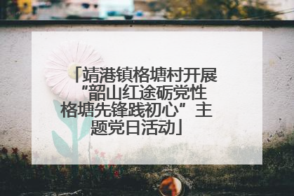 靖港镇格塘村开展“韶山红途砺党性 格塘先锋践初心”主题党日活动