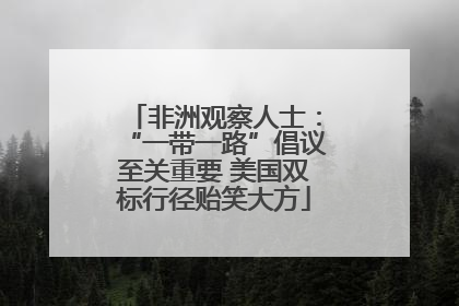 非洲观察人士：“一带一路”倡议至关重要 美国双标行径贻笑大方