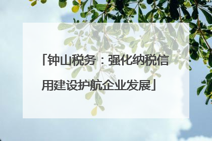 钟山税务：强化纳税信用建设护航企业发展