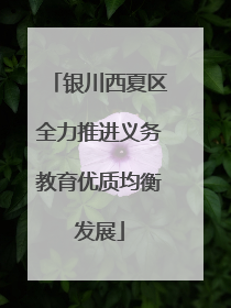 银川西夏区全力推进义务教育优质均衡发展
