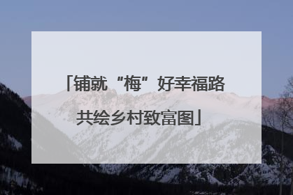 铺就“梅”好幸福路 共绘乡村致富图