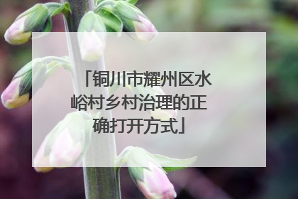 铜川市耀州区水峪村乡村治理的正确打开方式