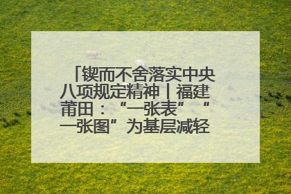 锲而不舍落实中央八项规定精神丨福建莆田：“一张表”“一张图”为基层减轻“数字负担”