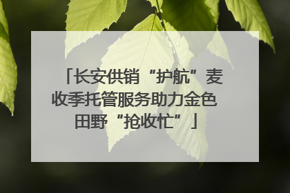 长安供销“护航”麦收季托管服务助力金色田野“抢收忙”