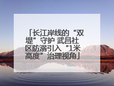 长江岸线的“双堤”守护 武昌社区防溺引入“1米高度”治理视角