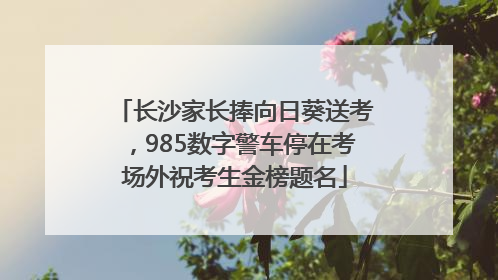 长沙家长捧向日葵送考，985数字警车停在考场外祝考生金榜题名