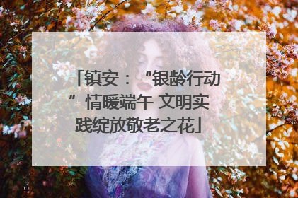 镇安：“银龄行动”情暖端午 文明实践绽放敬老之花