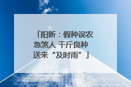 阳新：假种误农急煞人 千斤良种送来“及时雨”