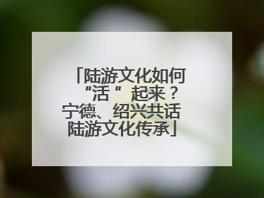 陆游文化如何“活 ”起来？宁德、绍兴共话陆游文化传承
