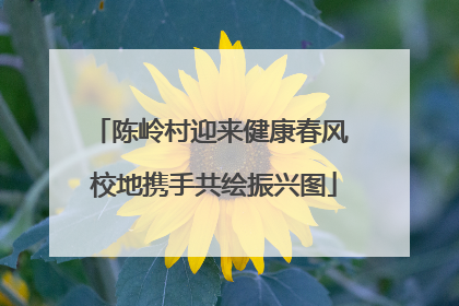 陈岭村迎来健康春风 校地携手共绘振兴图