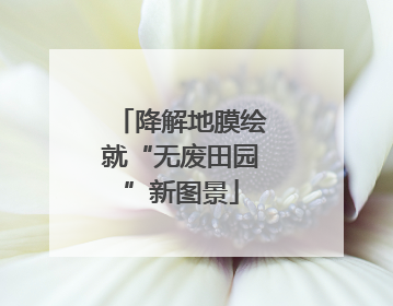 降解地膜绘就“无废田园”新图景