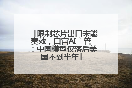 限制芯片出口未能奏效，白宫AI主管：中国模型仅落后美国不到半年
