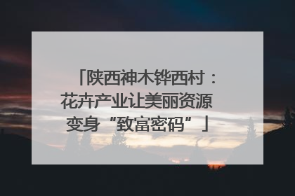 陕西神木铧西村：花卉产业让美丽资源变身“致富密码”
