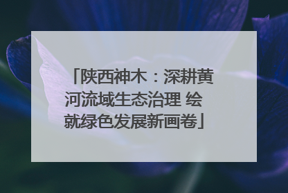 陕西神木：深耕黄河流域生态治理 绘就绿色发展新画卷