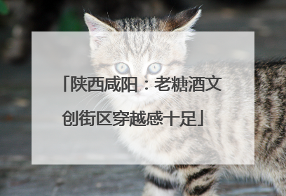 陕西咸阳：老糖酒文创街区穿越感十足