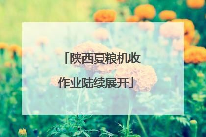 陕西夏粮机收作业陆续展开