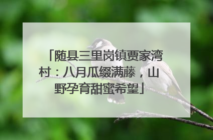 随县三里岗镇贾家湾村：八月瓜缀满藤，山野孕育甜蜜希望